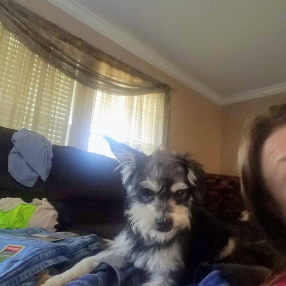 Meet your Posher, Kelli - Picture 1 of 1